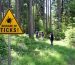 Warning sign "beware of ticks" in infested area in the green forest with walkers