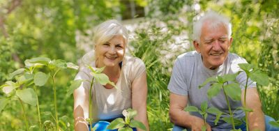 A Couple Sitting in The Woods