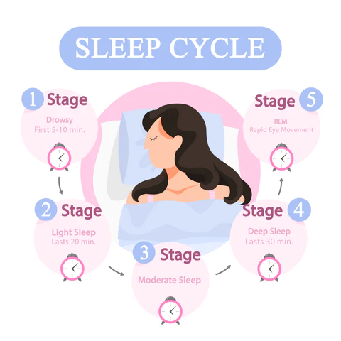 Graphic showing the 5 phases of sleep. These stages are all important components of getting a good night's rest and keeping your brain healthy.